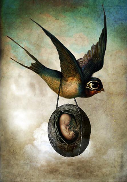 Catrin Welz-Stein