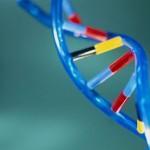 La tecnologia Exosome per prevedere l’esito della biopsia prostatica tecnologia Exosome biopsia prostatica
