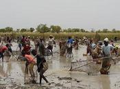 Sankè mon, rito della pesca collettiva