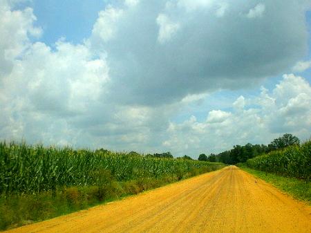 dirt-road-in-cornfield-irwin-county-ga-photo-copyright-brian-brown-vanishing-south-georgia-usa-2009