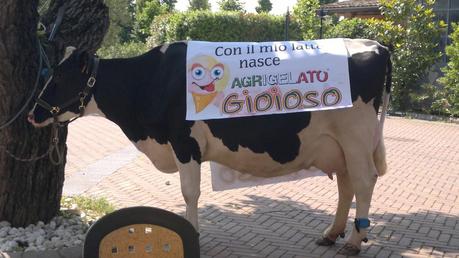 Tutti all' Agrigelateria sull'Aia!