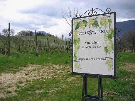 Verdicchio di Matelica DOC, ColleStefano 2011