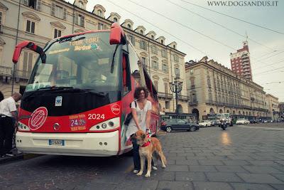 Un po' di cani in bus (per non parlare degli umani)