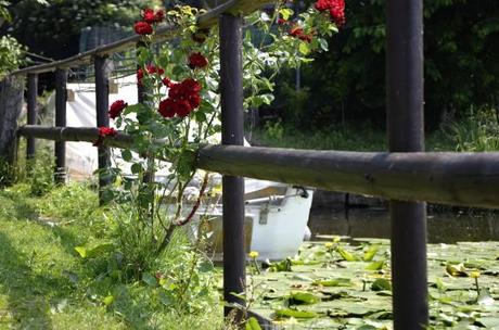 il lago di Candia