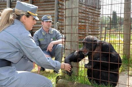 Confiscato lo Zoo Safari Park di Latina per maltrattamenti e abusivismo