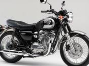 Kawasaki W800 Special Edition 2013