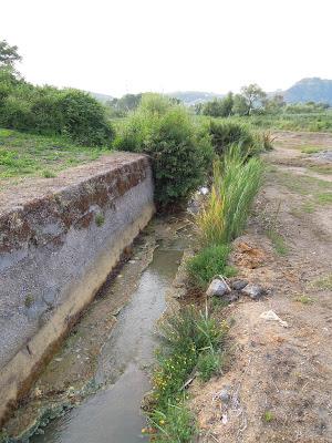 Conca e Terme di Agnano