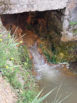 Conca e Terme di Agnano