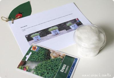 una eco-scatola, tante attività - La Piccola Box