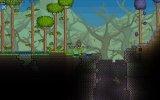 Terraria