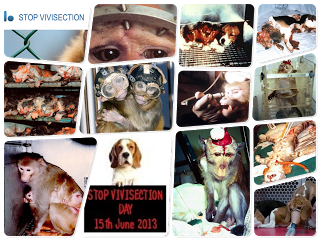 Stop Vivisection Day: 15 giugno 2013