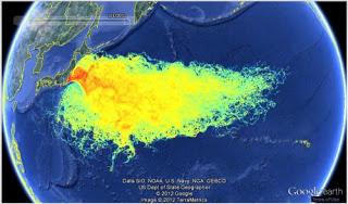 Nucleare: a Fukushima aumentata di 100 volte radioattivita' acqua