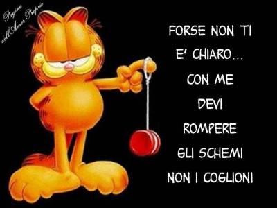 DICE IL SAGGIO GARFIELD