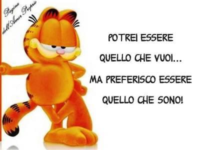 DICE IL SAGGIO GARFIELD