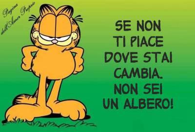 DICE IL SAGGIO GARFIELD