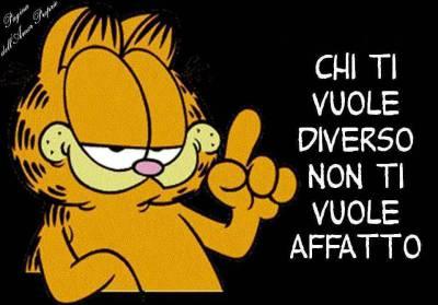 DICE IL SAGGIO GARFIELD