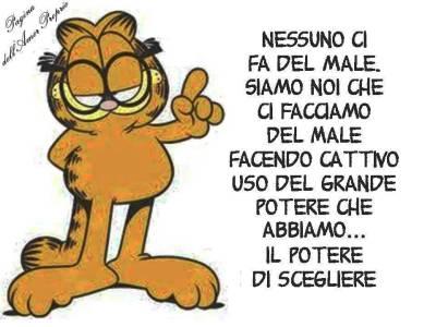 DICE IL SAGGIO GARFIELD