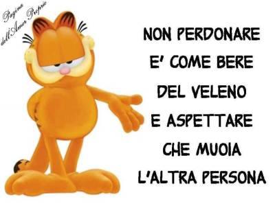 DICE IL SAGGIO GARFIELD