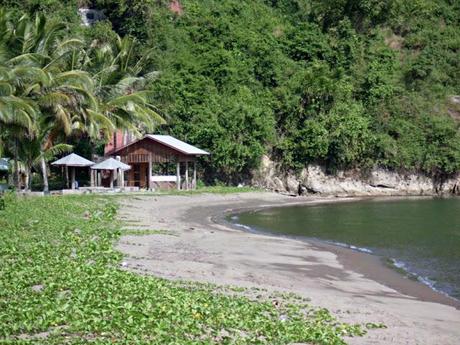 Viaggi in Indonesia: Lembean spiaggia verde