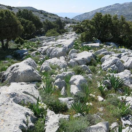 Le meraviglie della natura