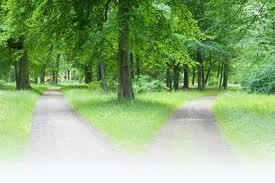Robert Frost e le due strade nel bosco