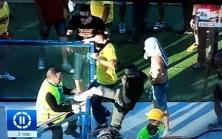 [VIDEO] Che vergogna! Tifosi del Lecce aggrediscono gli steward durante una invasione di campo! 