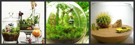 terrarium_giochi