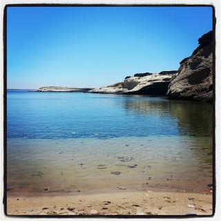 52 week project 7 pics a week: #24