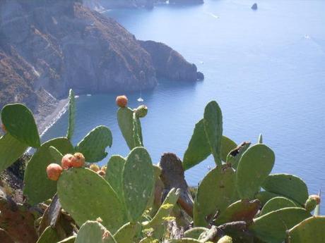 Intervista gastronomica ad Emanuela Ersilia Abbadessa Fichi d'India in sicilia