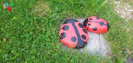 FOTO DELLA DOMENICA/GIUGNO 3