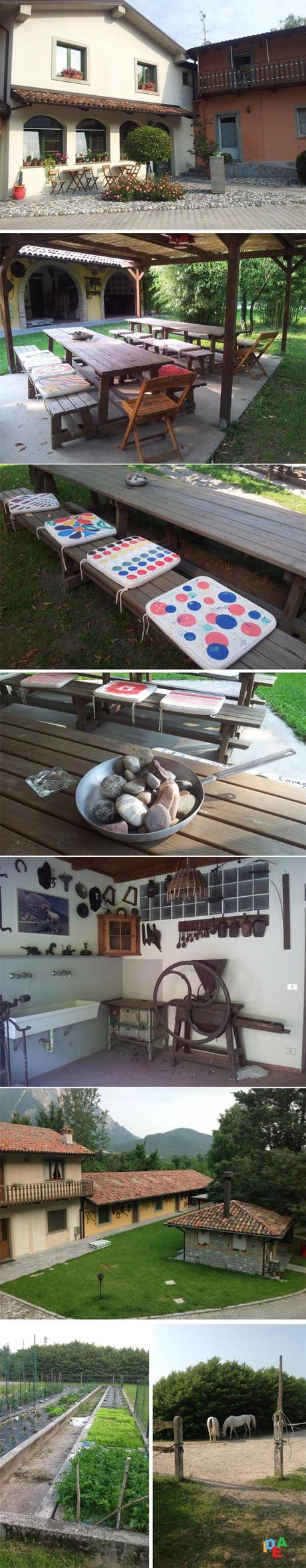 FOTO DELLA DOMENICA/GIUGNO 3