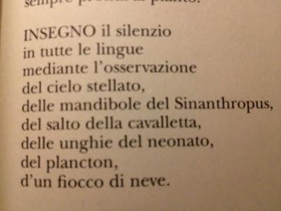 La gioia di scrivere (Wislawa Szymborska)