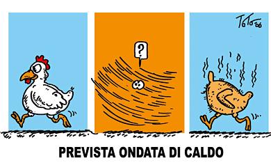 Ma pensa ...fa caldo!