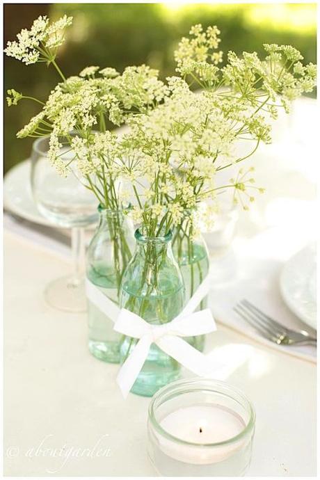 pot and daucus carota