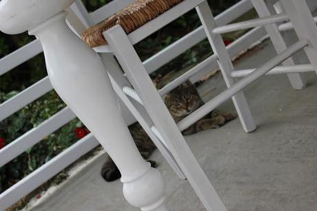 Il mio primo post da FESCION blogger: sono un pò emozionata