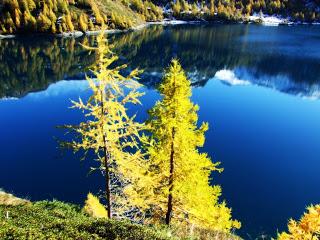 La favola dei colori dell'Alpe Devero.