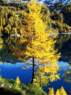 La favola dei colori dell'Alpe Devero.