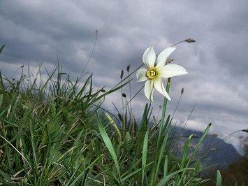 LA LEGGENDA DELLA PIOGGIA SUL MONTE BRANCOT DI DORINO BON