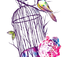 Roma 42 d.C - Cuore nemico di Adele Vieri Castellano