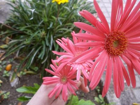 riassunto /all tomorrow parties