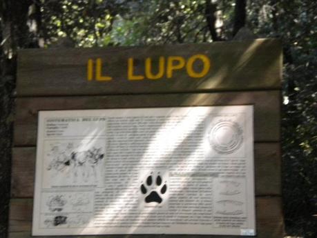 ATTENTI AL LUPO !! PARCO della MAJELLA