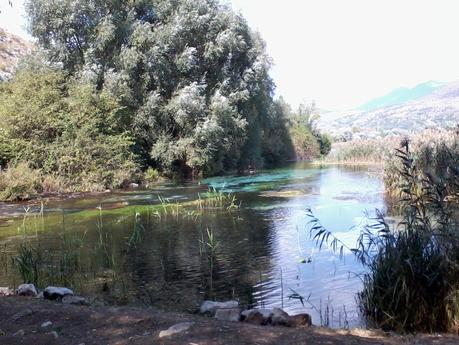 ATTENTI AL LUPO !! PARCO della MAJELLA