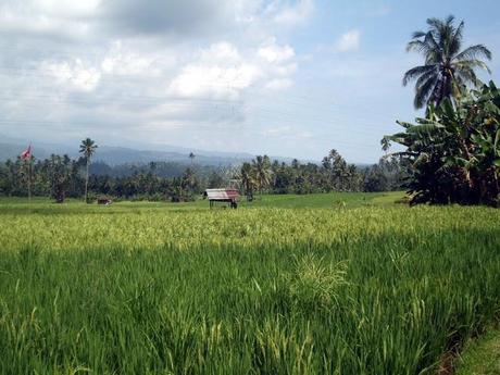 Viaggi in Indonesia: Tondano