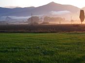 canoni estetici-le donne bracciata