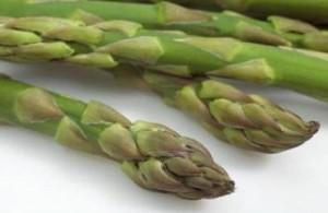 Asparagi