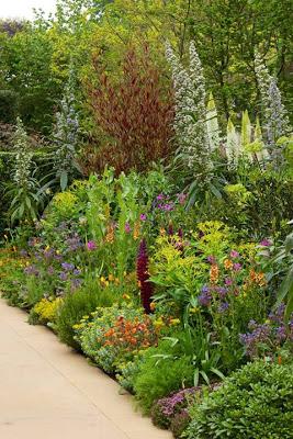 Chelsea Flower Show 2013