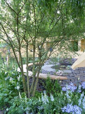 Chelsea Flower Show 2013