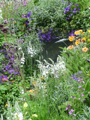 Chelsea Flower Show 2013