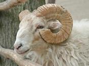 Turchia pregiudizi degli italiani (146)