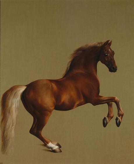 File:Whistlejacket by George Stubbs.jpg